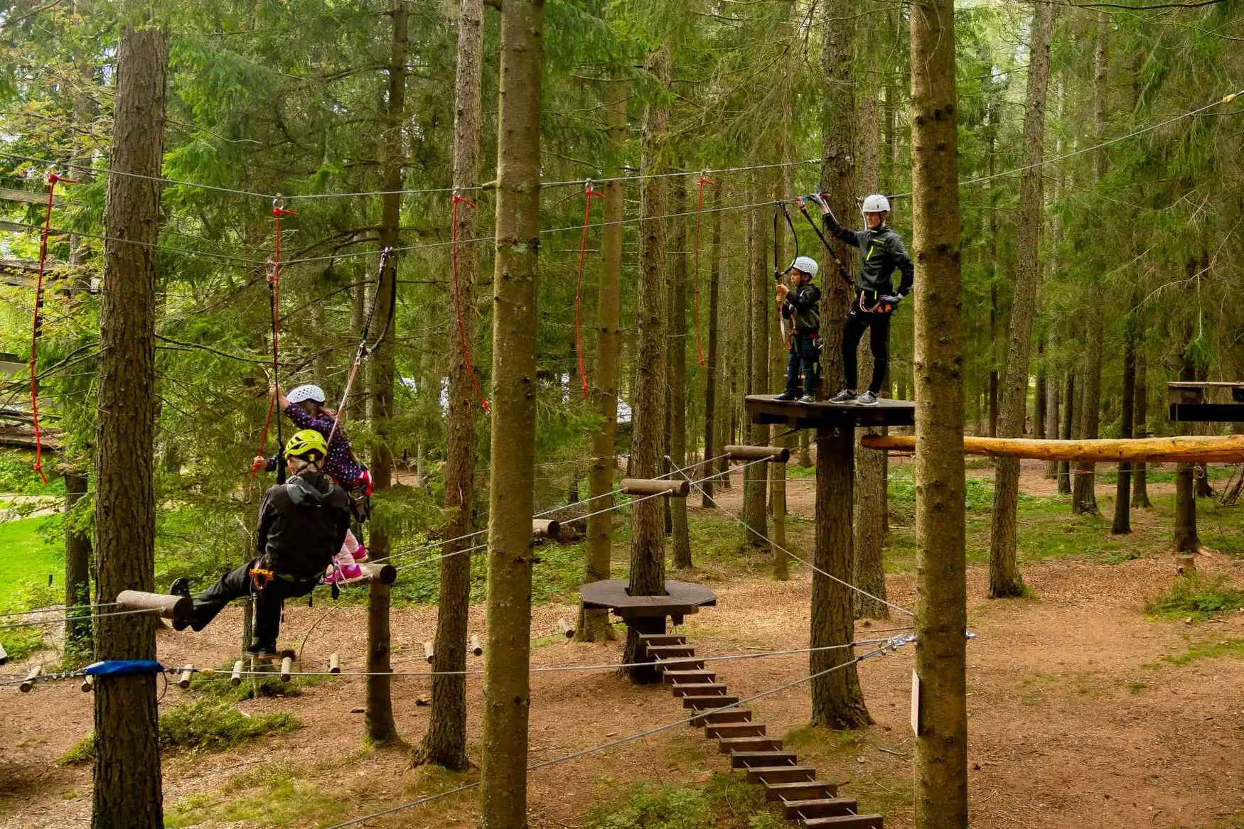 Hochseilgarten Kirchschlag Ralf & Walter