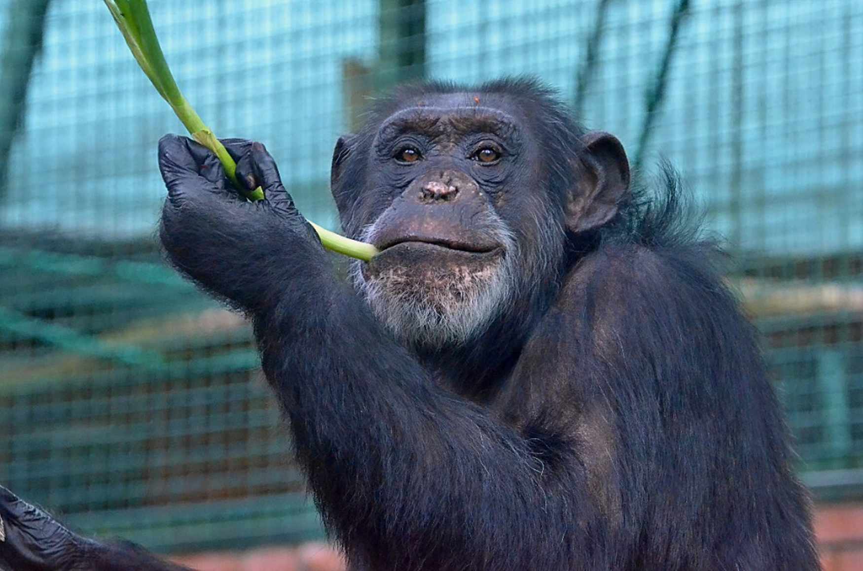 Hodonin Zoo photo 1