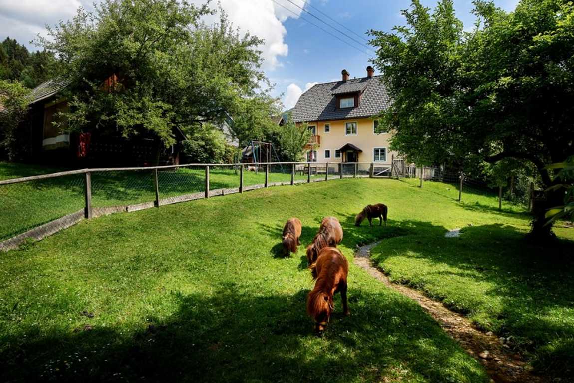 abenteuerhof schiefer farm photo 6