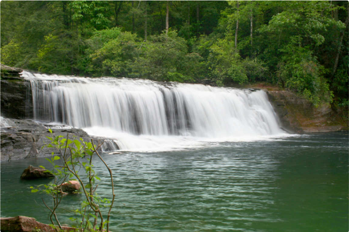 dupont state recreational forest  photo 3