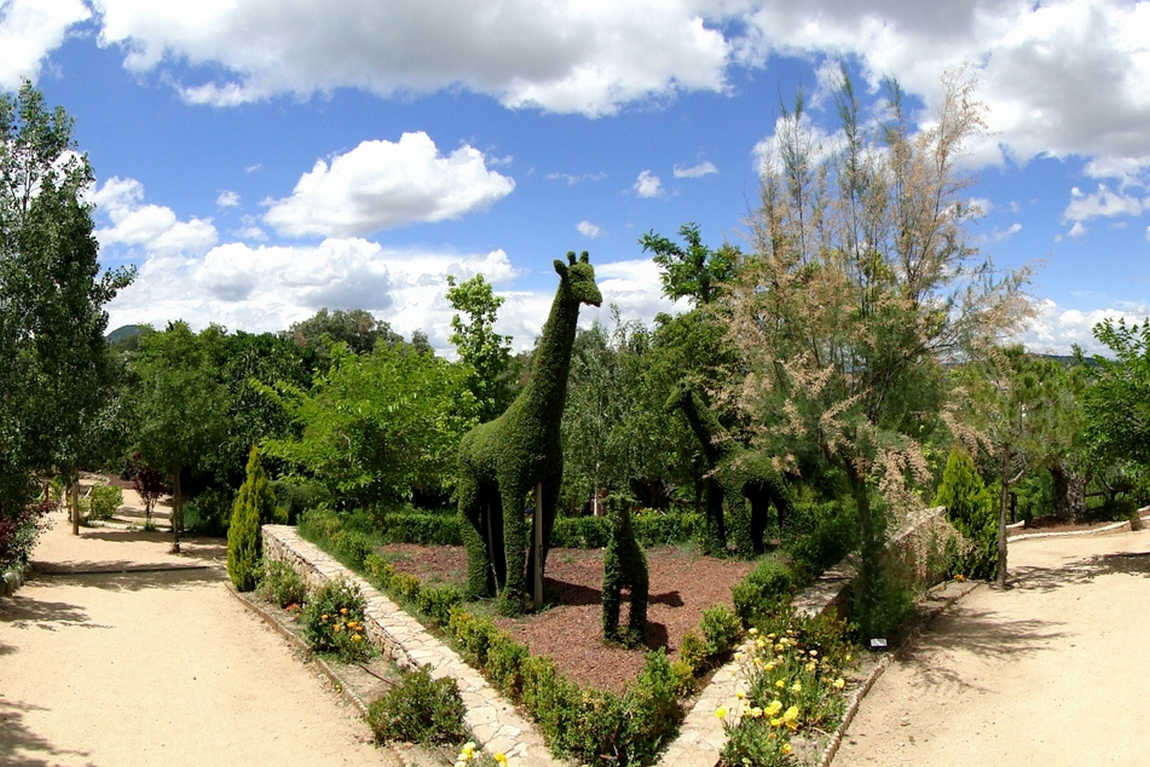 ботанический сад 