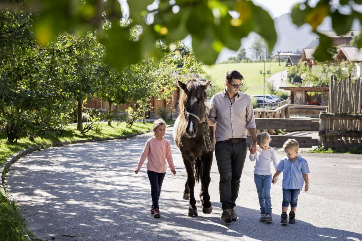 feriendorf holzleb'n farm photo 1