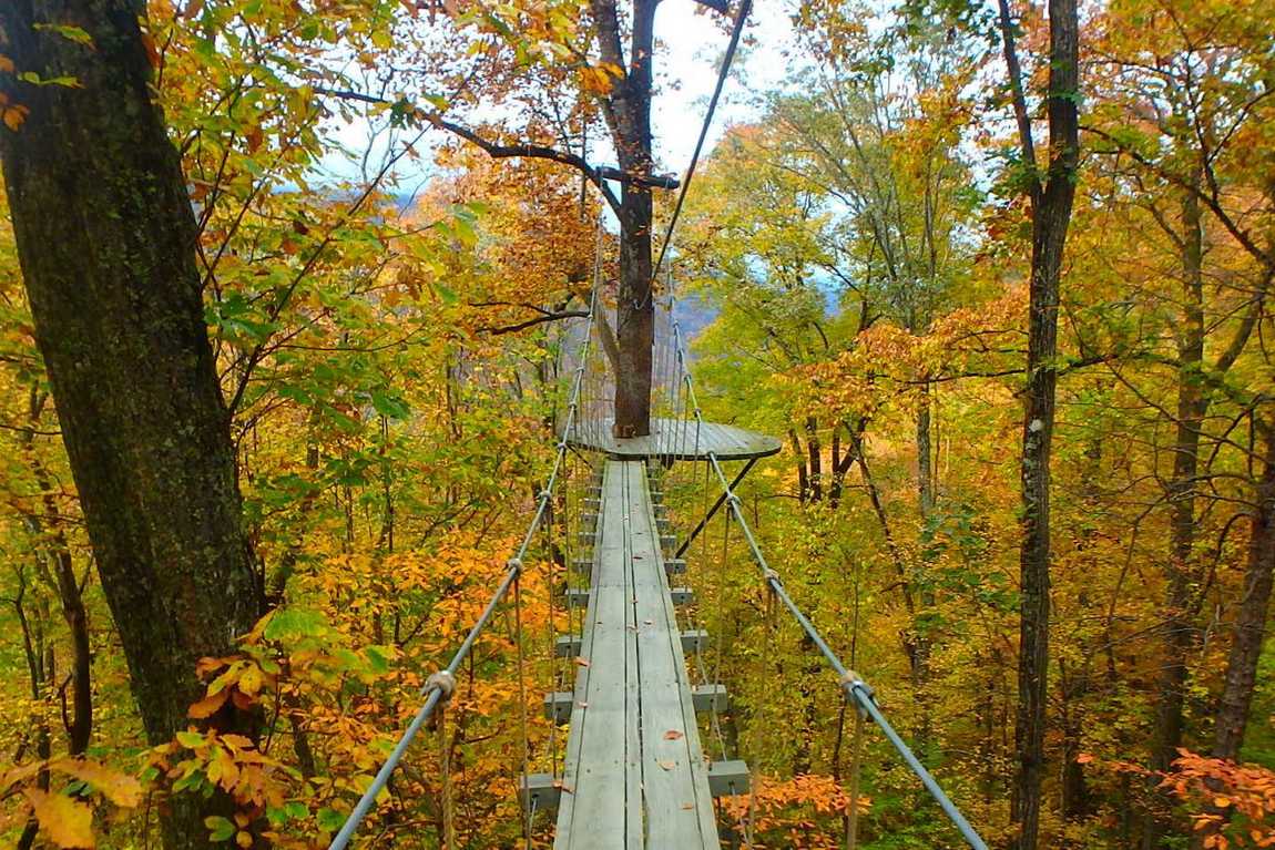 gorge zipline photo 2