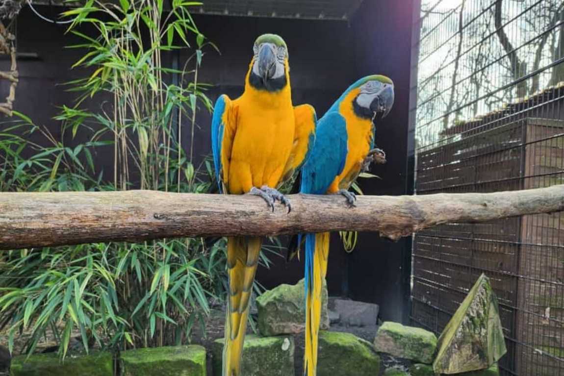 kobelt zoo photo 3