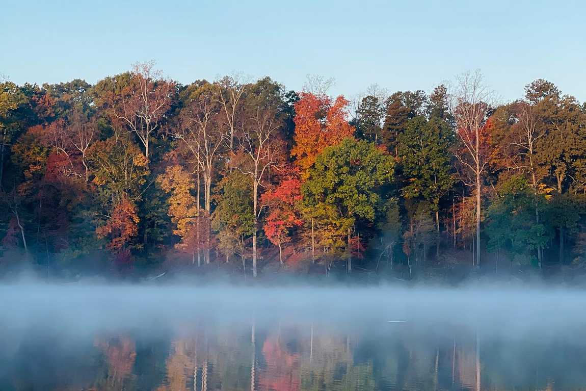 lake norman state park photo 1