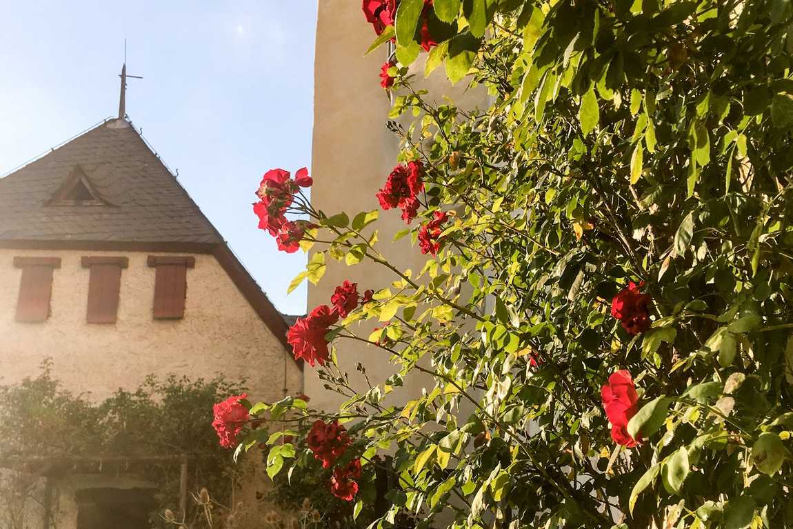marksburg photo 3