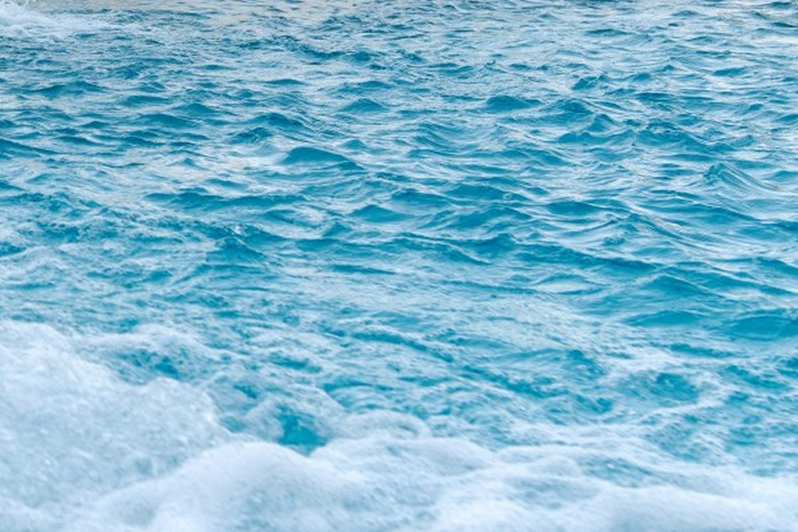 nautiland photo 3
