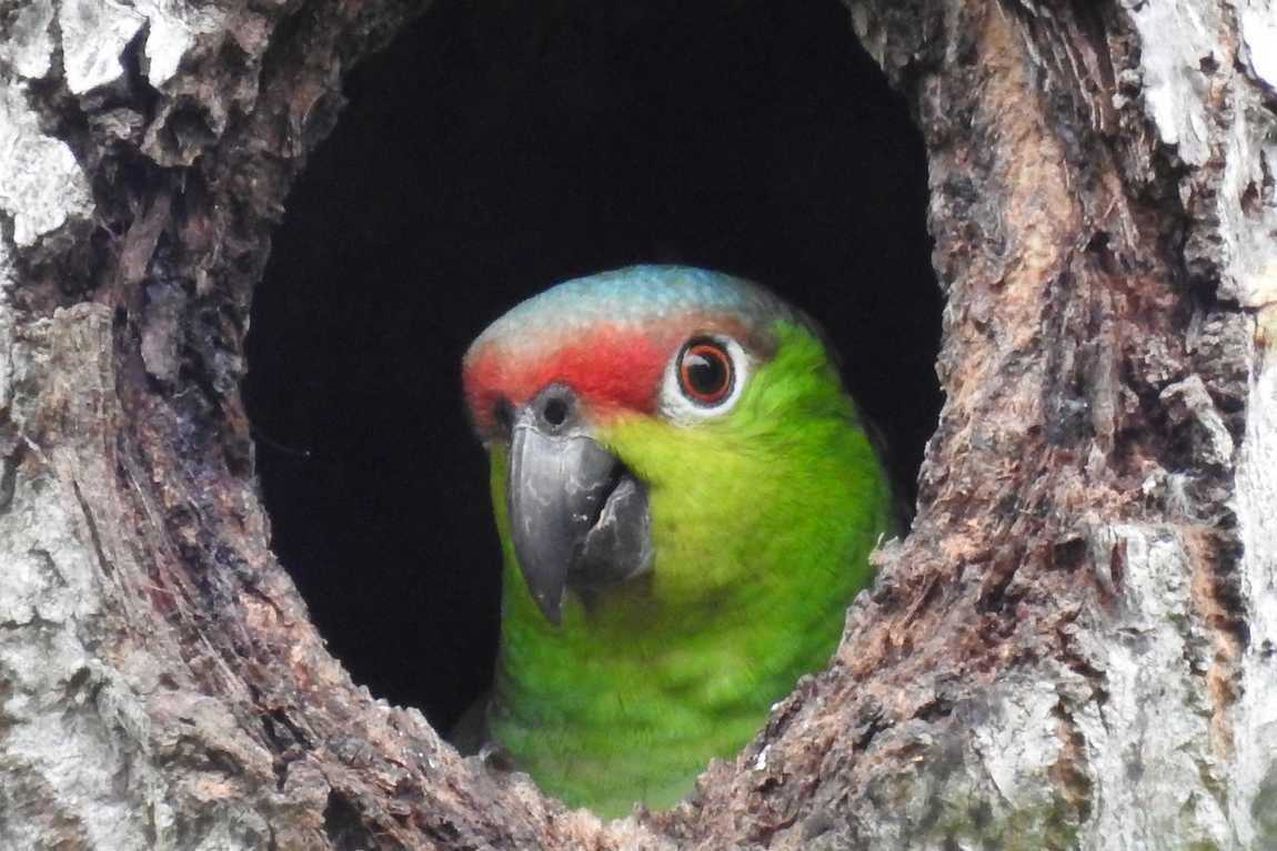 zoo neuwied photo 1