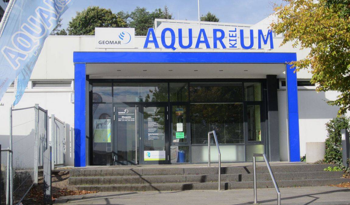 aquarium geomar photo 1