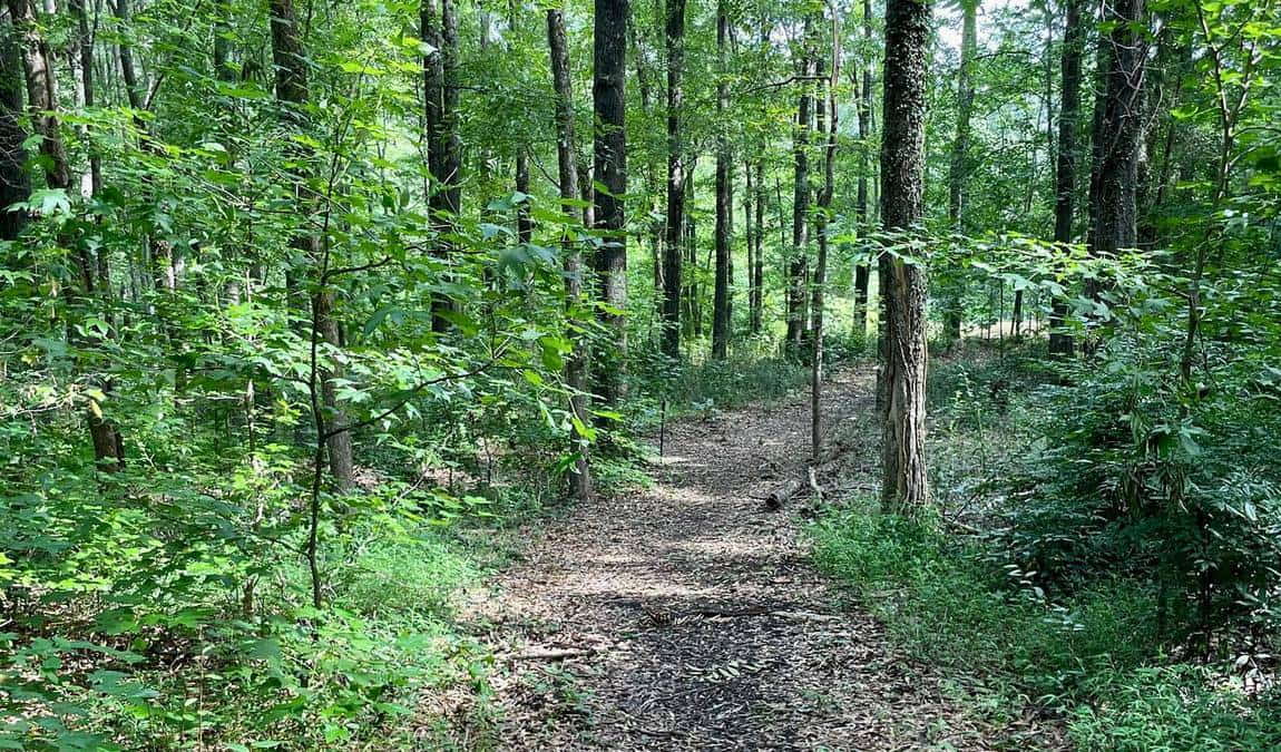 beaty park photo 3