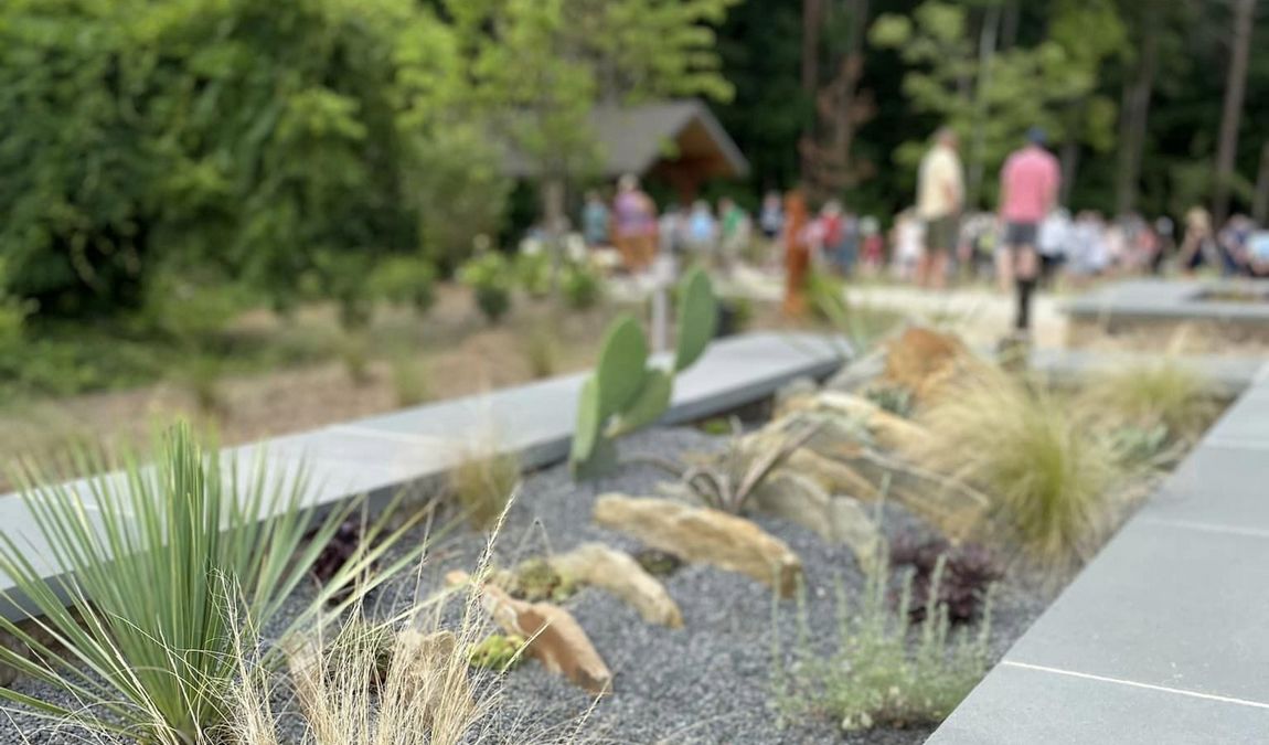 beaty park photo 4