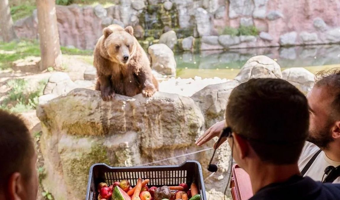 brno zoo photo 2