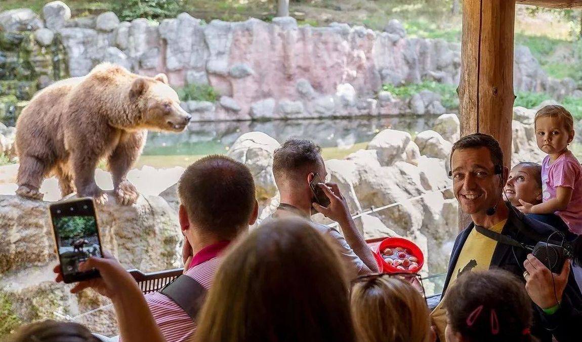 brno zoo photo 8