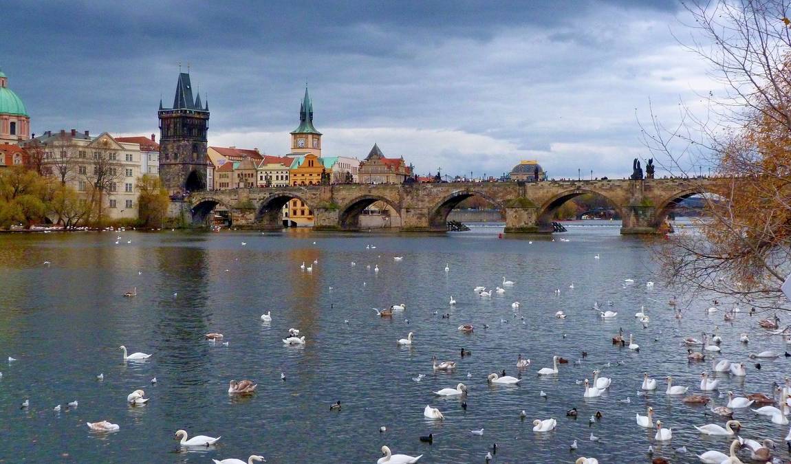 charles bridge photo 8