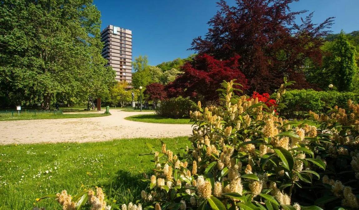 dvorak park photo 1