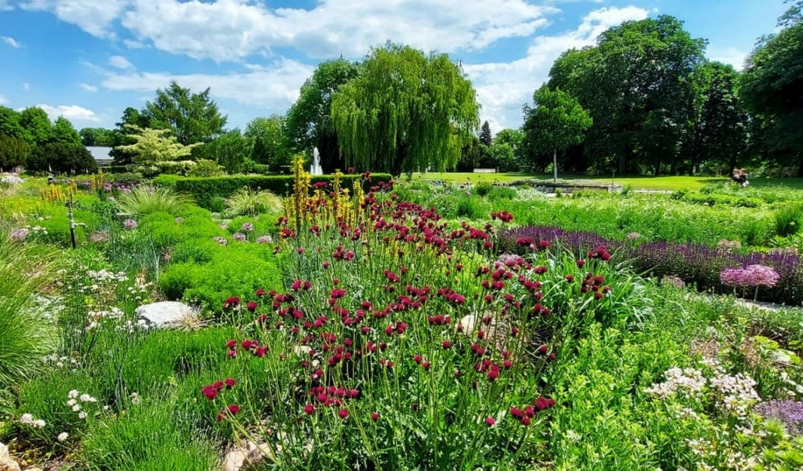 egapark photo 1