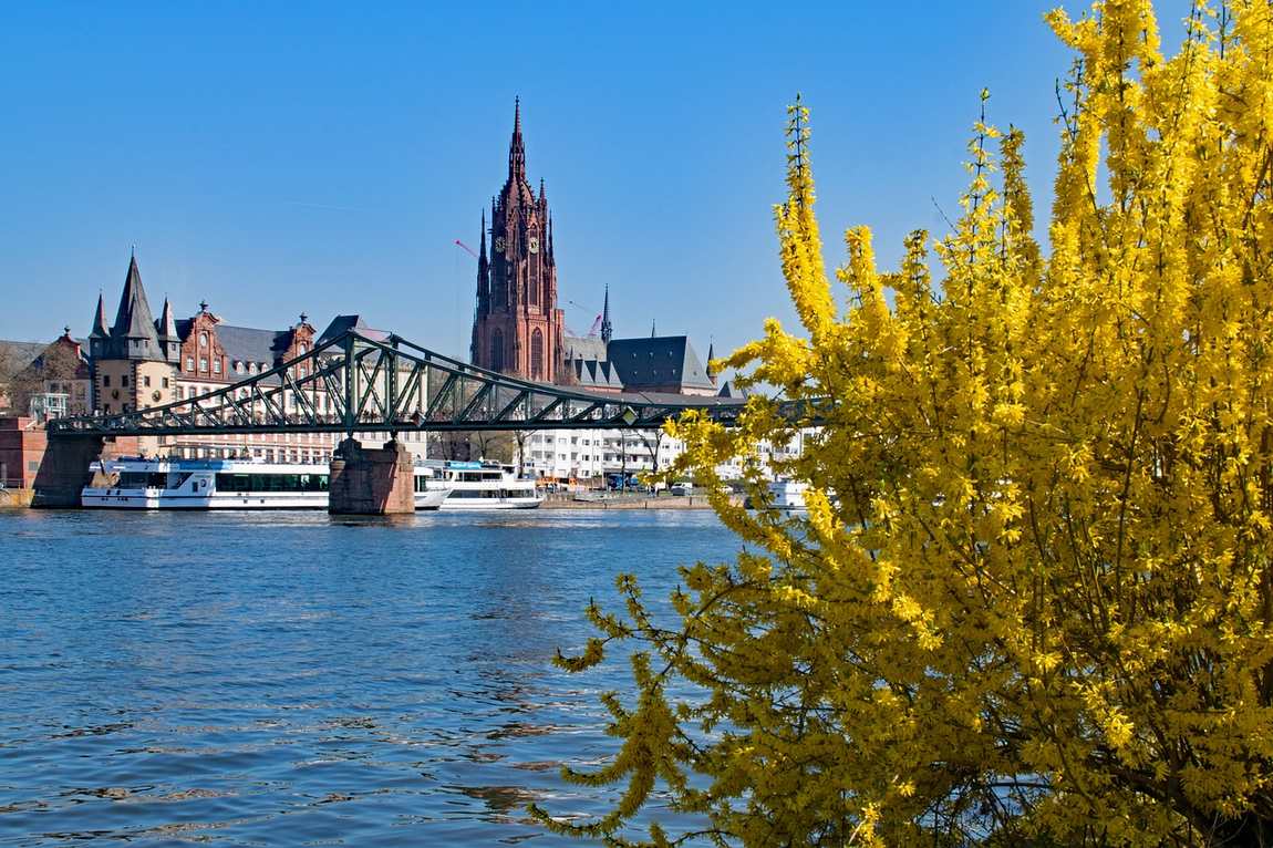 is frankfurt worth a visit? discovering germany's cosmopolitan gem photo 5
