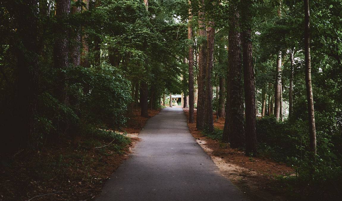 jetton park photo 1