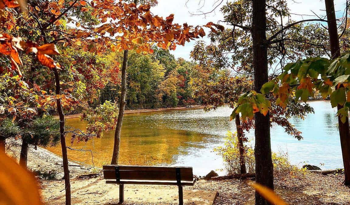 jetton park photo 8