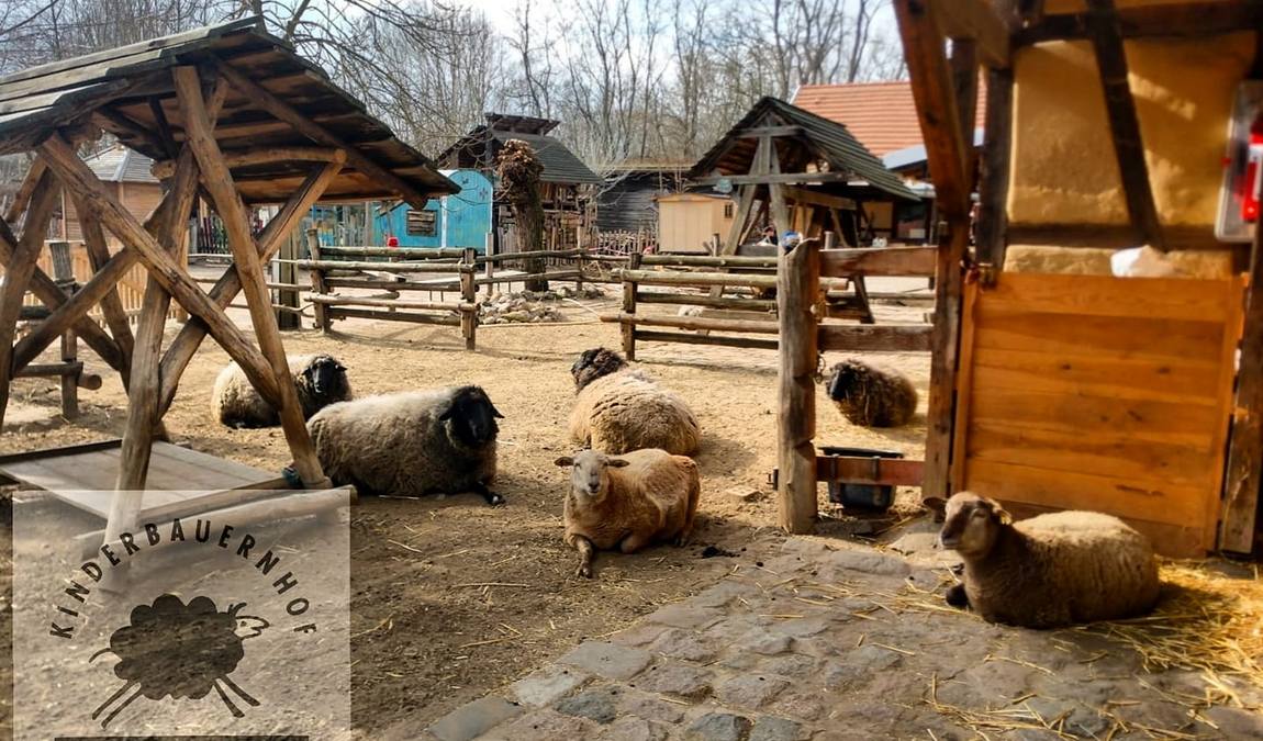 kinderbauernhof pinke-panke photo 5