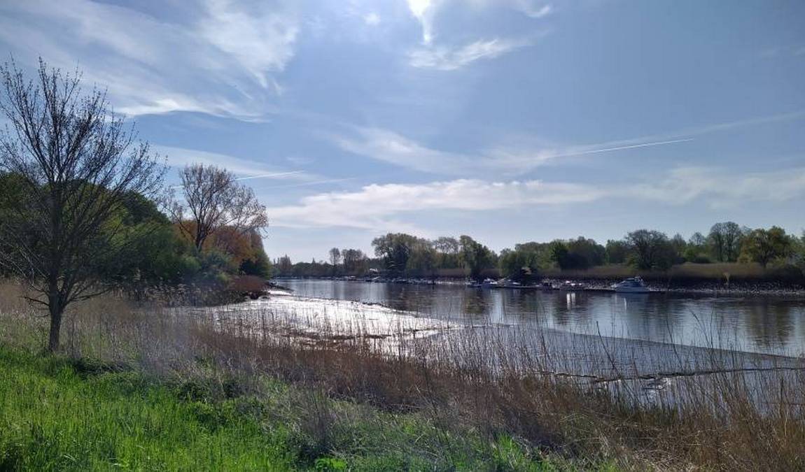 knoops park photo 2