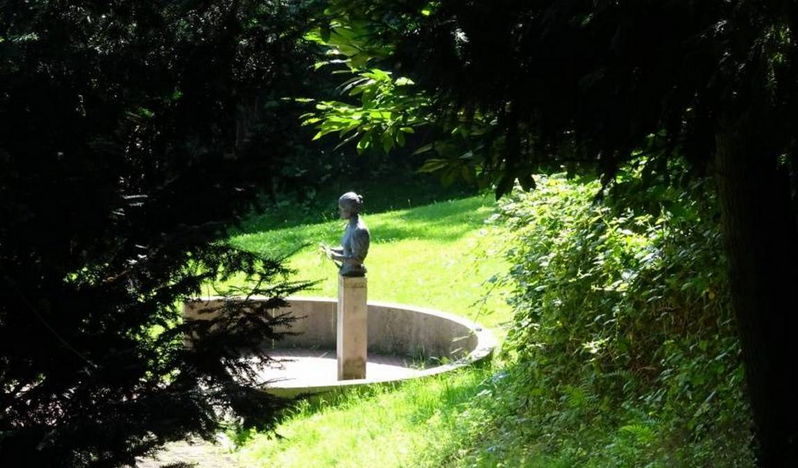 knoops park photo 6