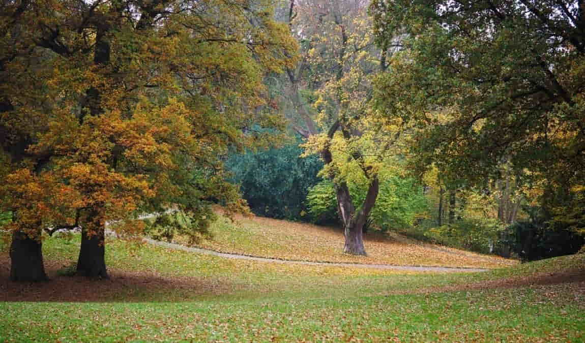 knoops park photo 7