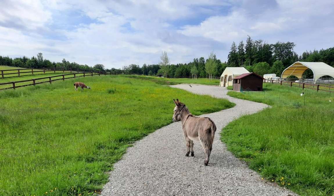 krone farm photo 1