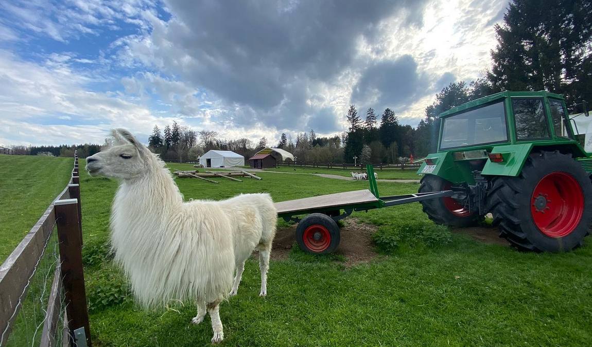 krone farm photo 2
