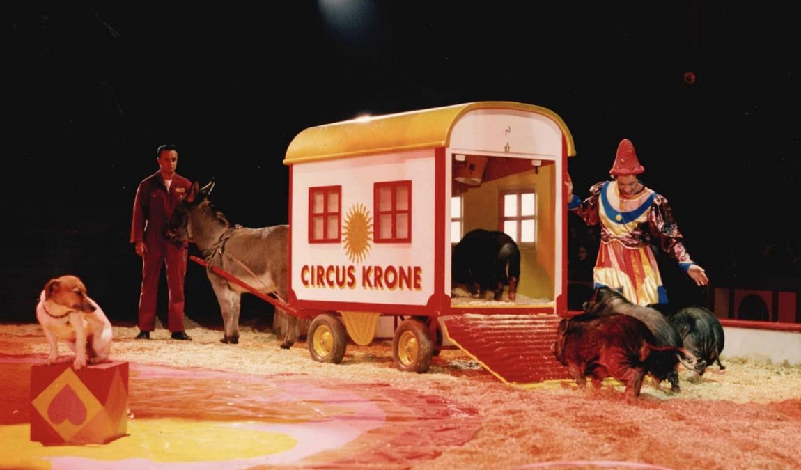 krone farm photo 6