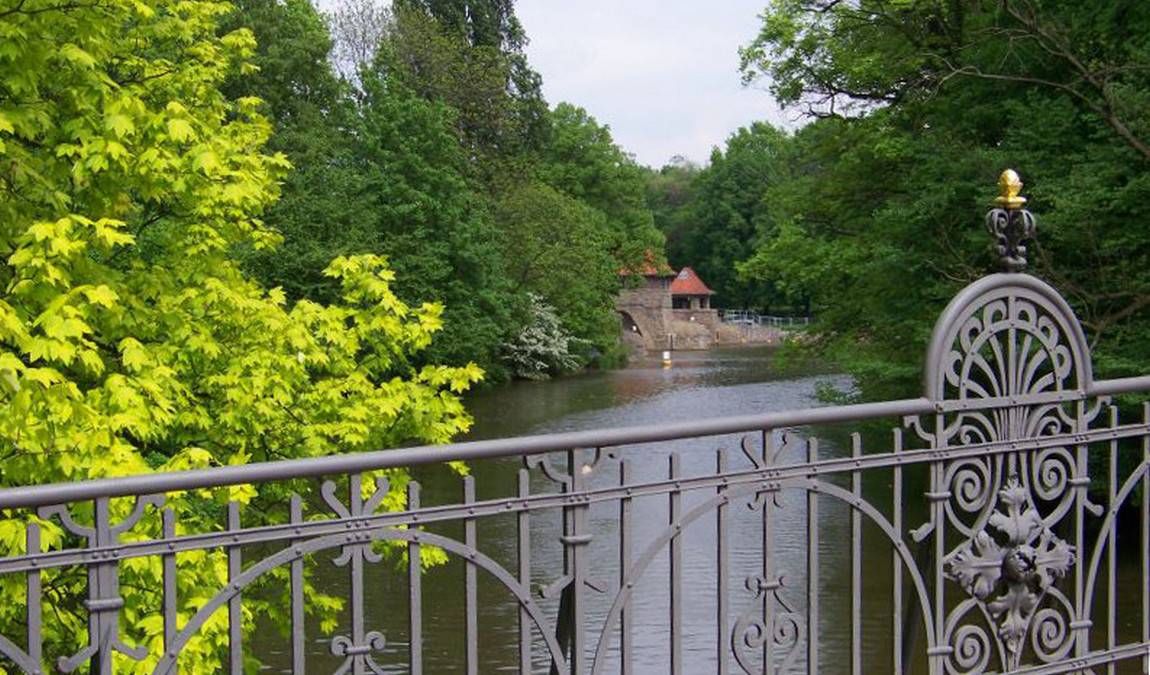 leipzig riverside forest photo 4