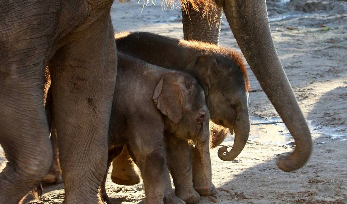 leipzig zoo photo 2