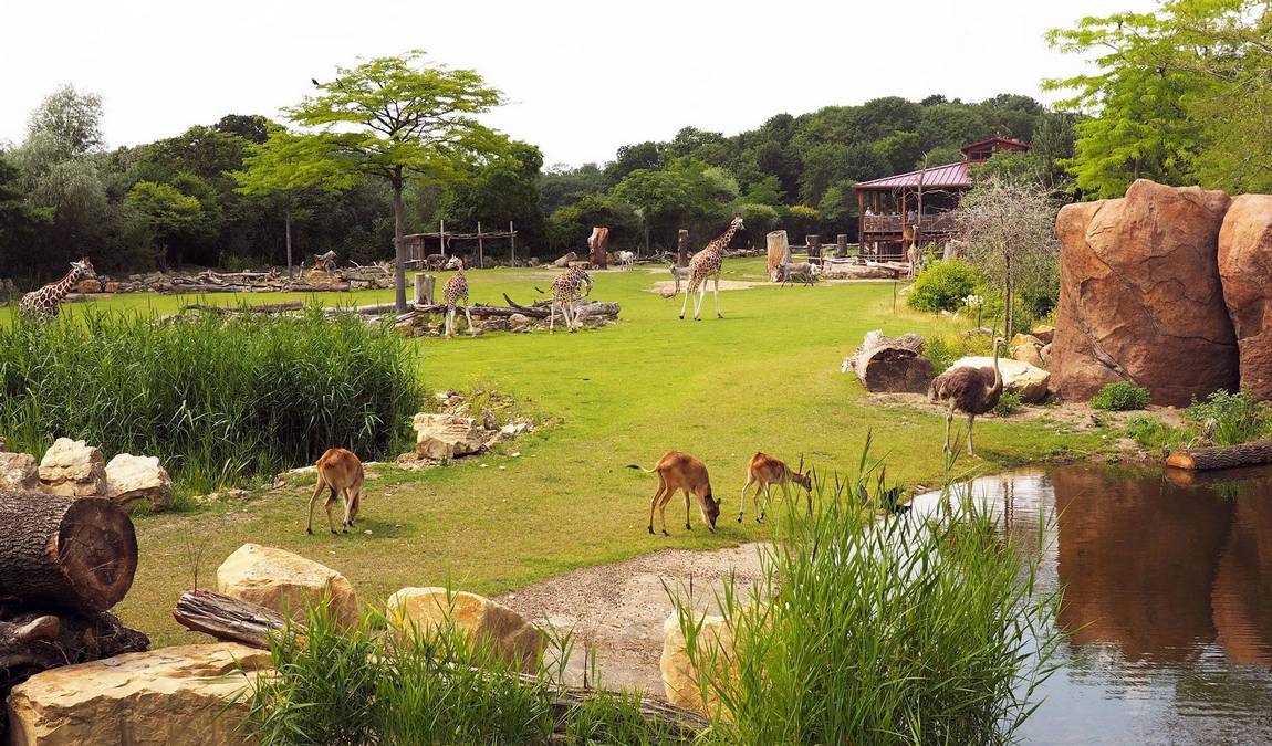 leipzig zoo photo 5