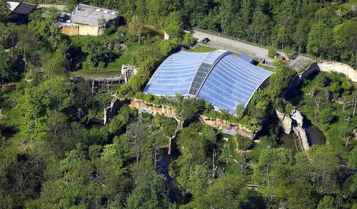leipzig zoo photo 6