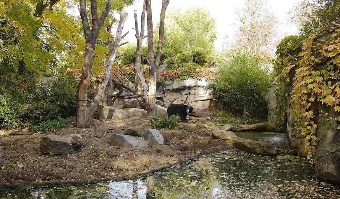 leipzig zoo photo 7