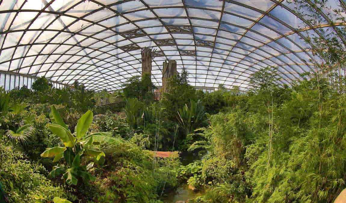 leipzig zoo photo 8