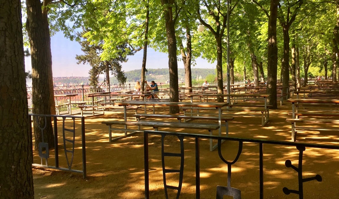 letna park photo 2