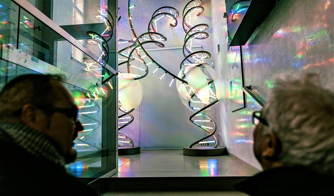 mendel museum photo 4