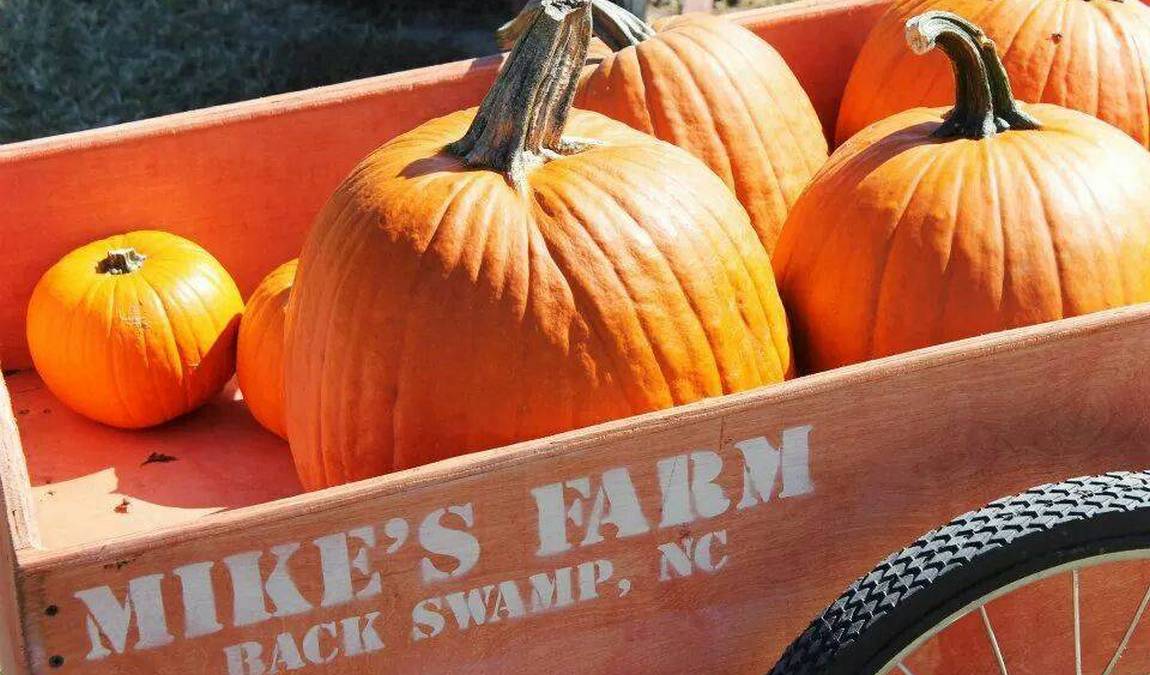mike's farm photo 1