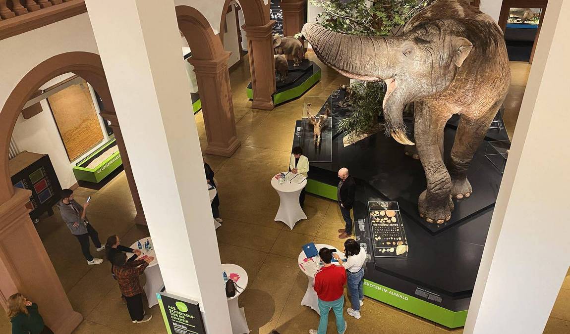 natural history museum photo 4