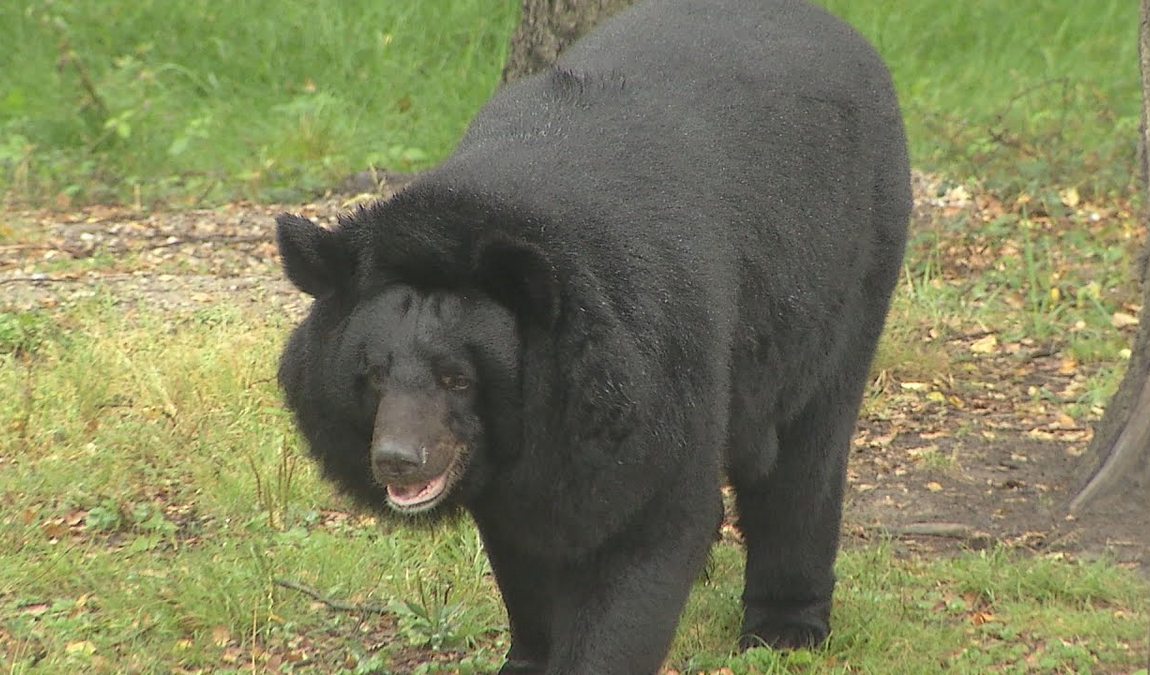 ostrava zoo photo 3