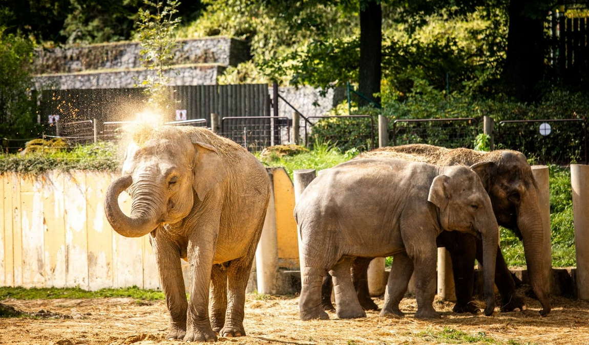 ostrava zoo photo 4