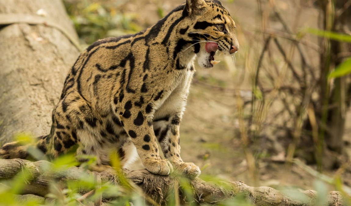 ostrava zoo photo 1
