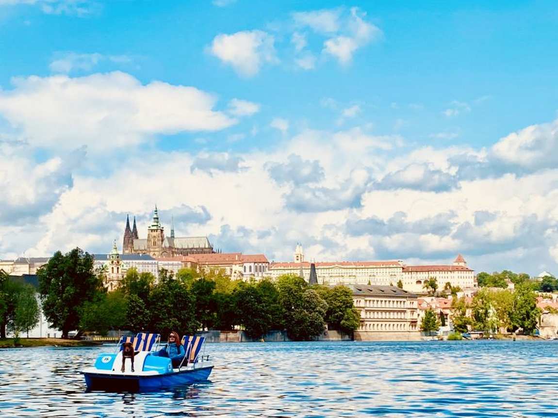 paddle boats photo 2