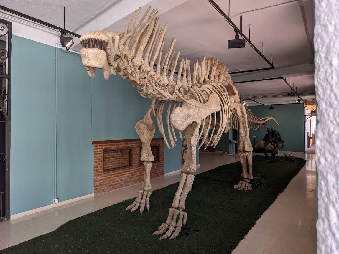 палеонтологический музей эстепоны фото 1