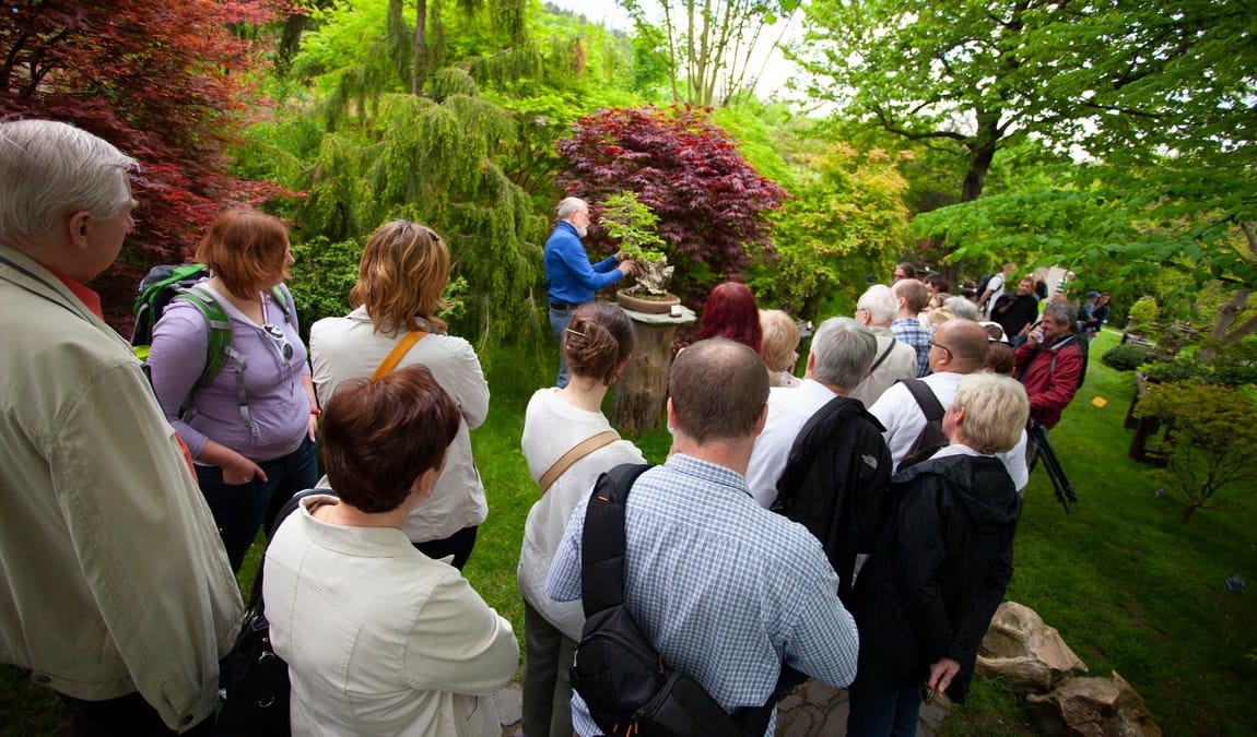 prague botanical garden photo 1