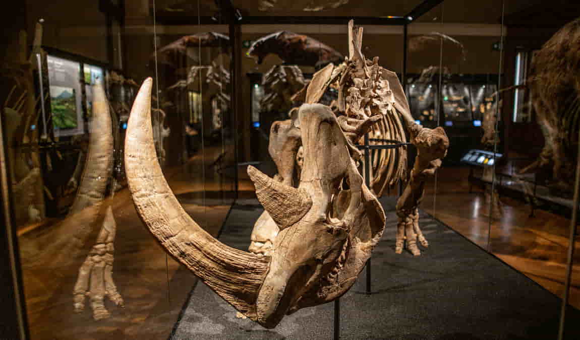 prague national museum photo 5