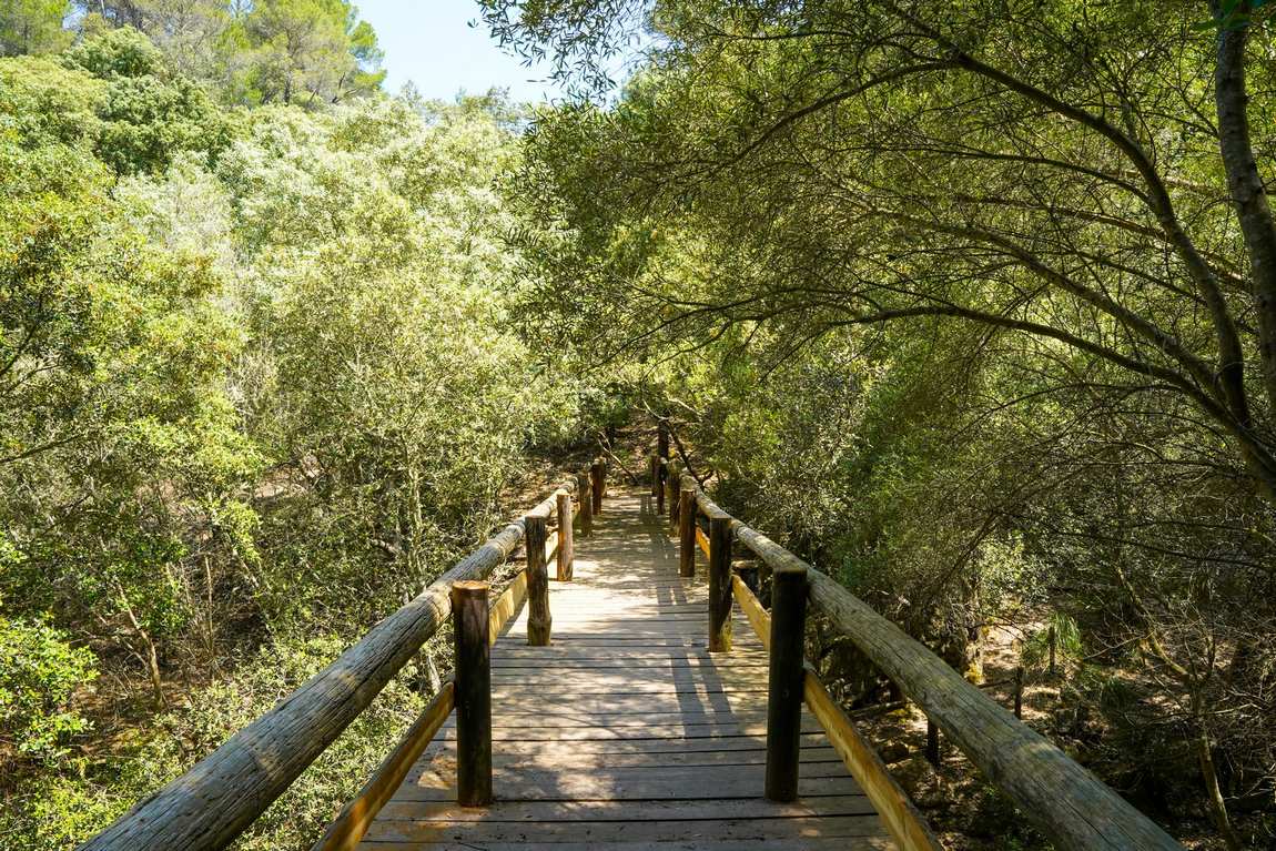 reserva park photo 1