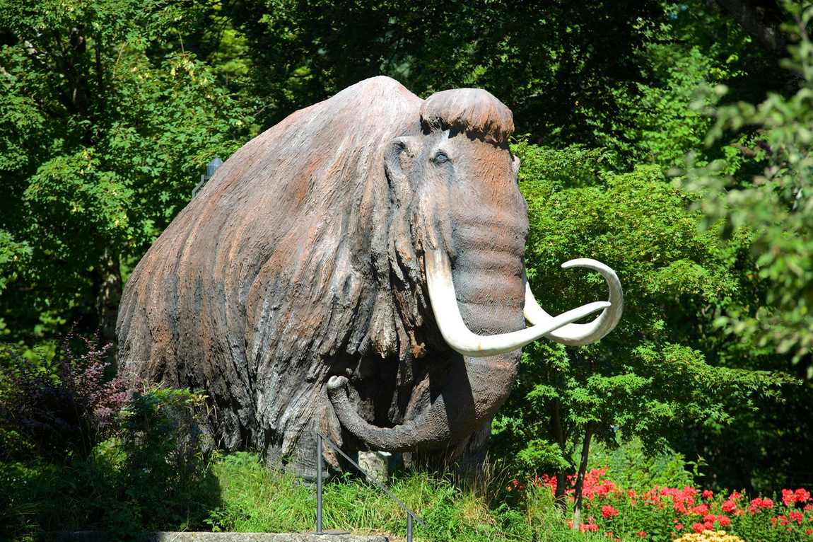 Natural History and Mammoth Museum Siegsdorf (Reit im Winkl, Germany ...