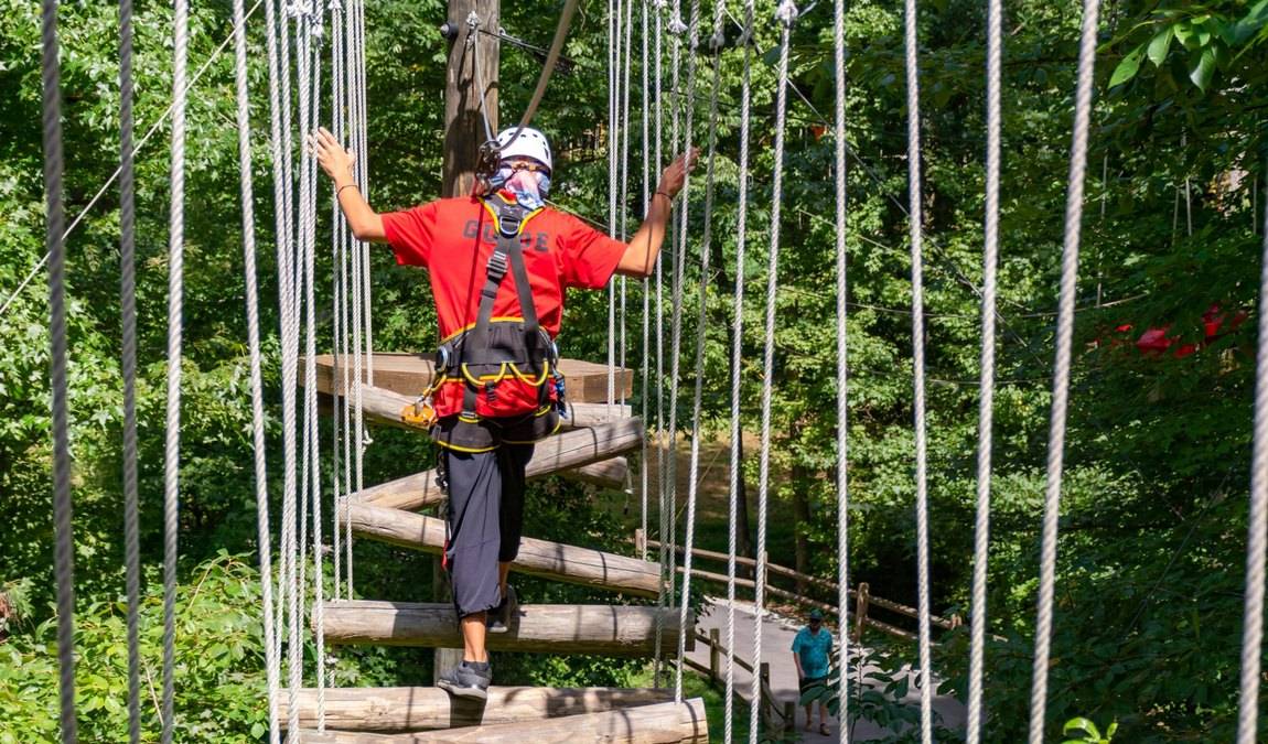 skywild photo 4